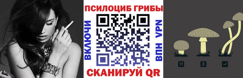 Псилоцибиновые грибы Psilocybe  mega ССЫЛКА  shop какой сайт  купить  цена  Ртищево 